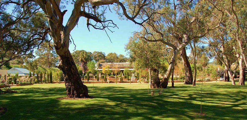 Jacobs Creek Retreat - Barossa Valley Tanunda Kültér fotó